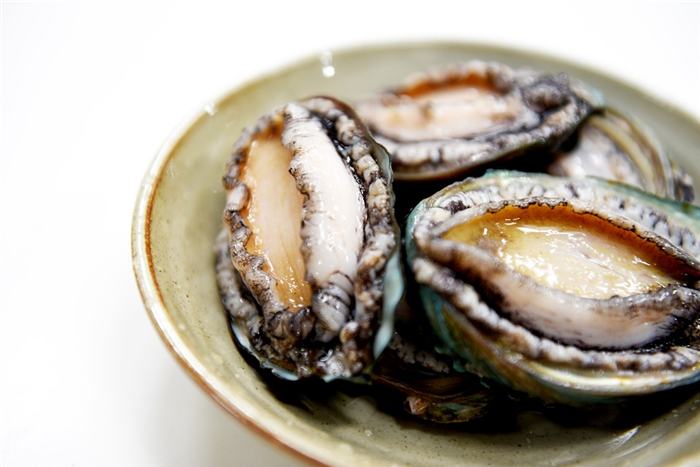南非進(jìn)口鮑魚報關(guān).png